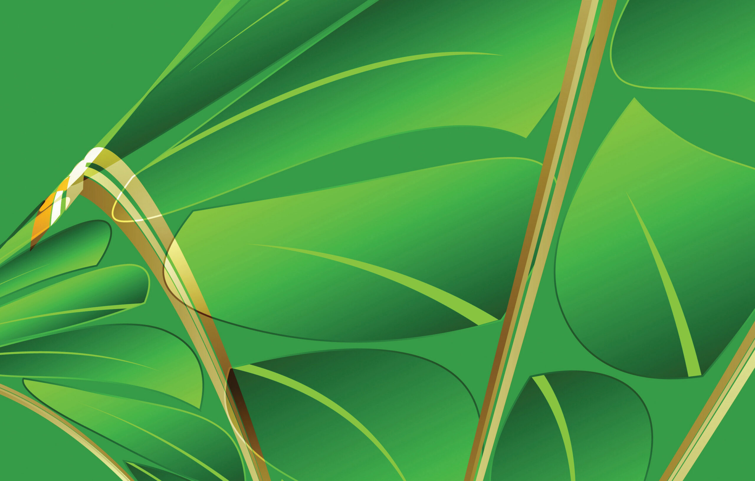 The NextGen UBE: Shared Stewardship: The January 2026 NextGen UBE Beta Exam