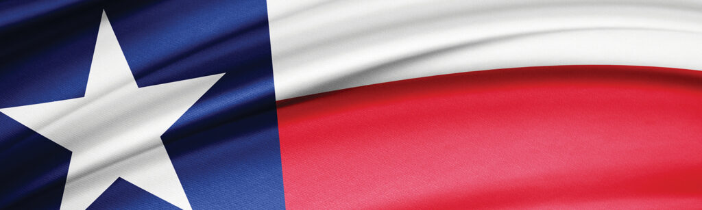 Detail image of the Texas state flag